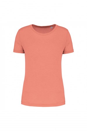PS_PA4021_CORAL